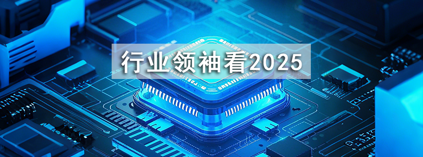 行业领袖看2025专题