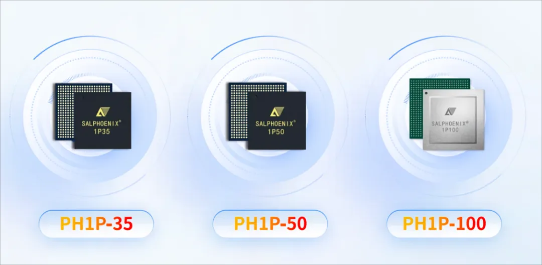 安路科技PH1P系列FPGA.png