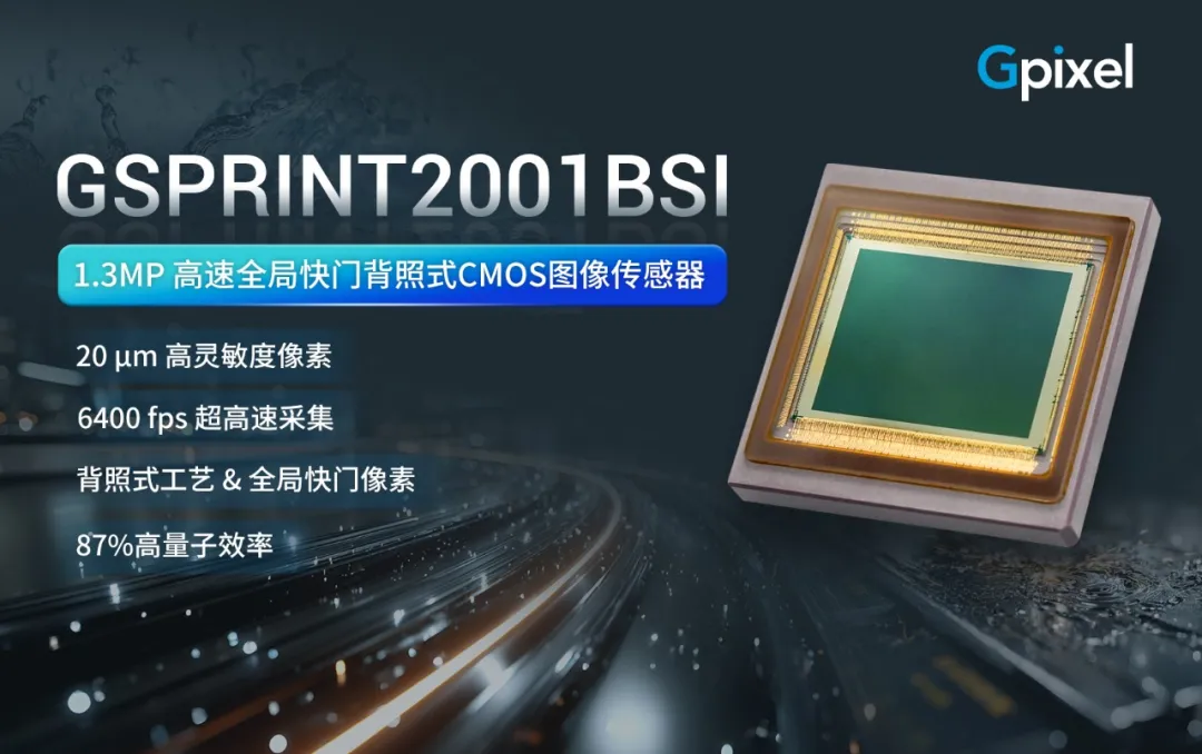 GSPRINT2001BSI.png