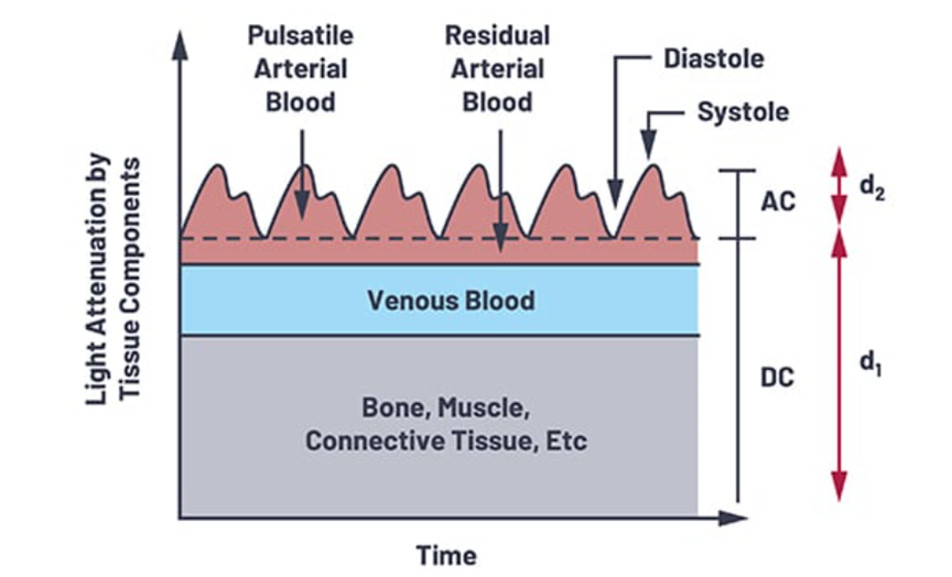 1765164841535889.png 图 1:脉搏血氧仪中的 PPG 信号包括 DC 和 AC 分量.png