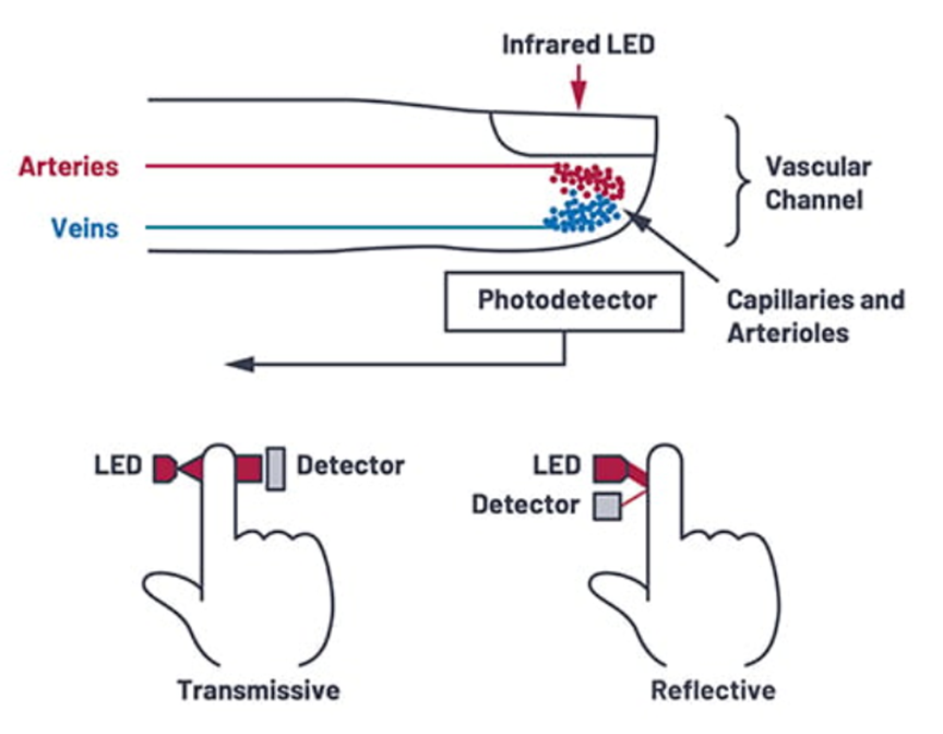 1765164848261053.png 图 2:在简单的脉搏血氧仪和心率传感器中.png