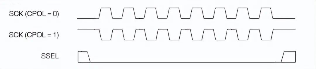 1689066644896426.jpg 2.jpg