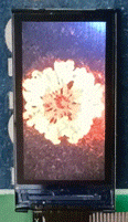 3.gif
