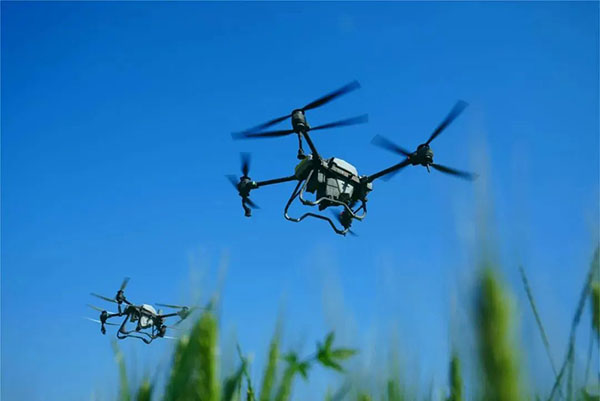 1755222244461460.jpg 2.jpg