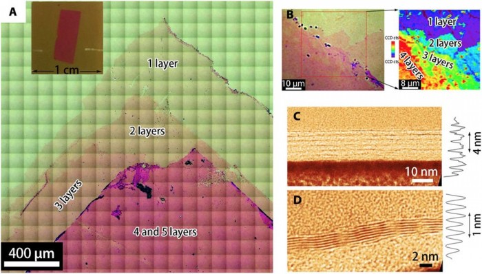 1629958322692865.jpg 3.jpg