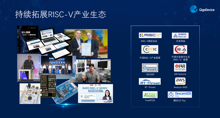 1630565396676897.jpg 11.jpg