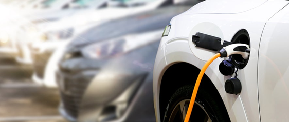 1634696403342542.png 1.png