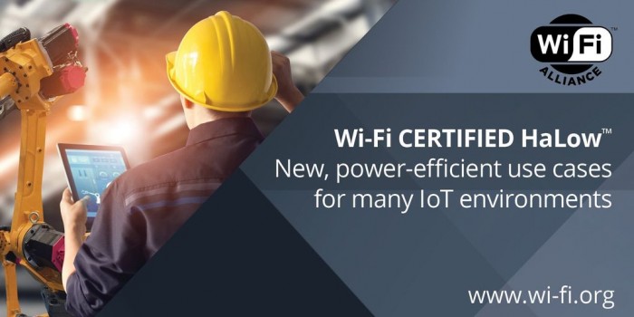 1635903838773770.jpg 3.jpg