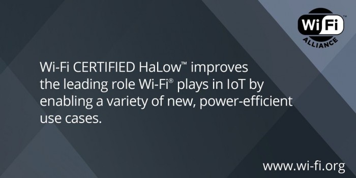 1635903842586278.jpg 2.jpg