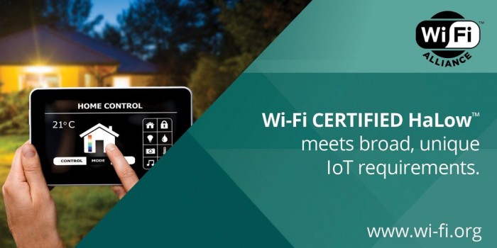 1635903846741920.jpg 1.jpg