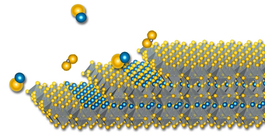 1636942689360431.jpg 1.jpg