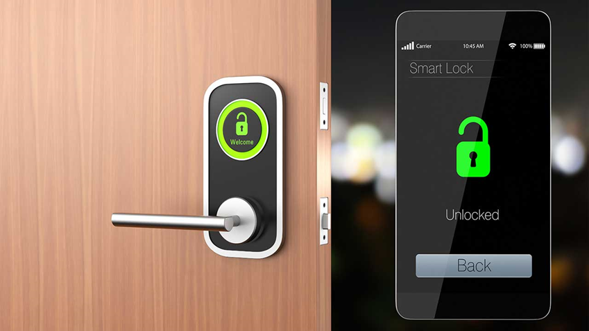 1637907348105268.jpg 2.jpg