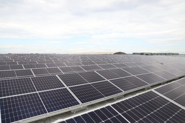 1641280327476877.jpg 2.jpg