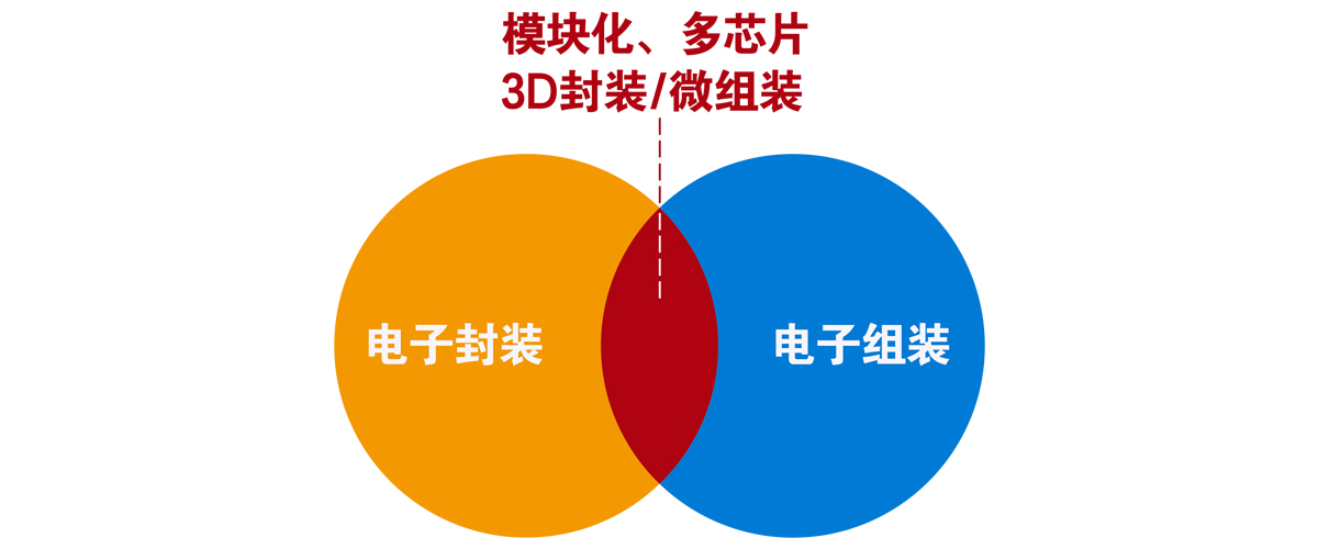 1641537802645939.jpg 3.jpg