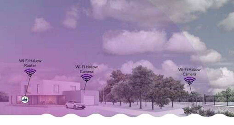 1647397211643836.jpg 4.jpg