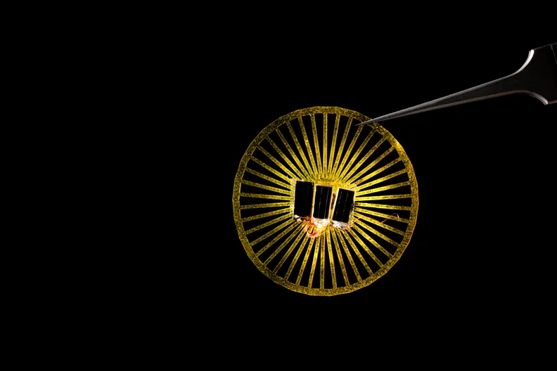 1647826691808090.jpg 2.jpg