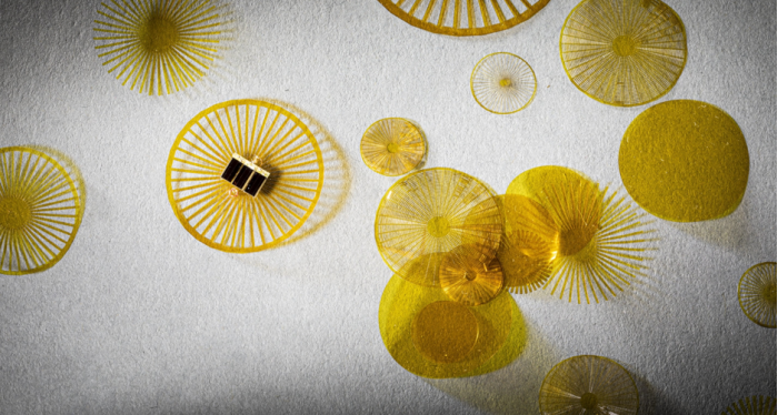 1647826697415227.png 1.png