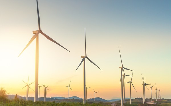 1657848817401220.jpg 1.jpg