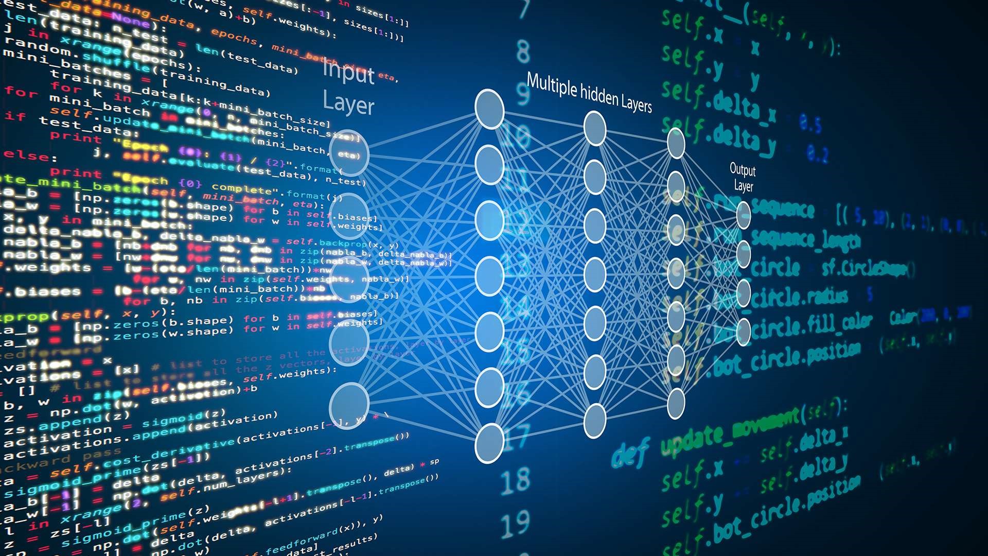 1657849132858975.jpg 1.jpg