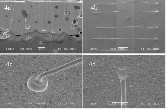 1660630227263816.png 4.png