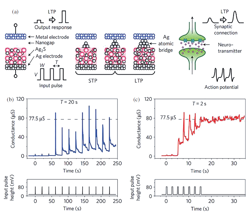 1664354619600342.png 9.png