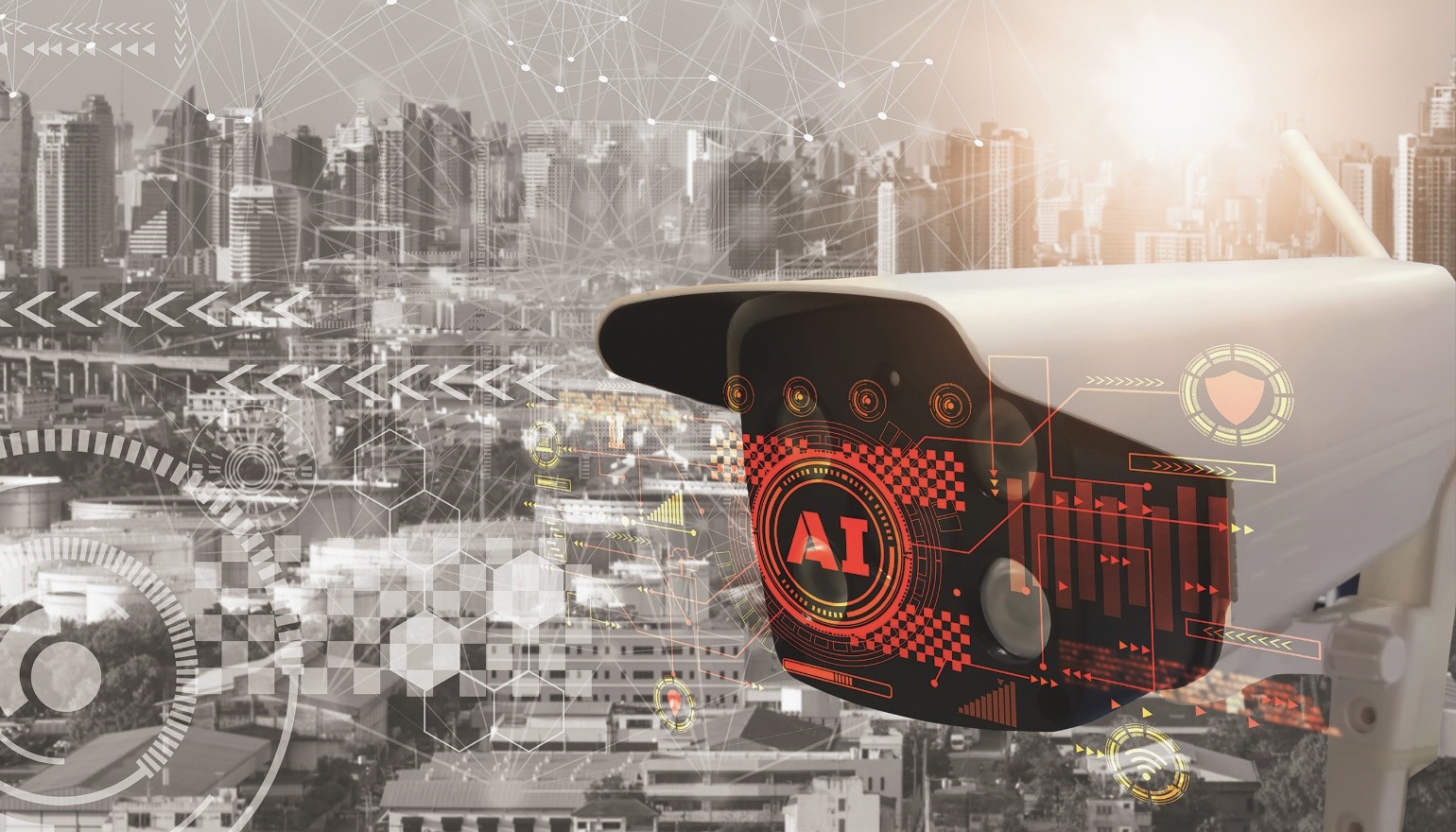 1665992477496662.jpg 1.jpg