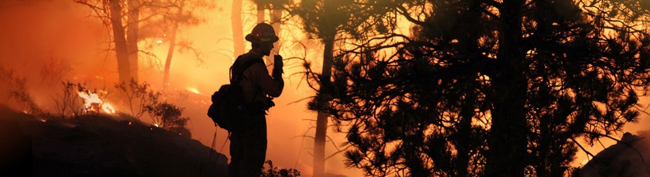 1666073221857869.jpg 1.jpg