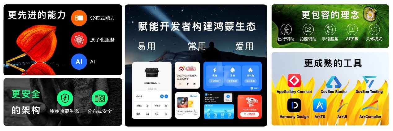 1667556305437693.jpg 2.jpg