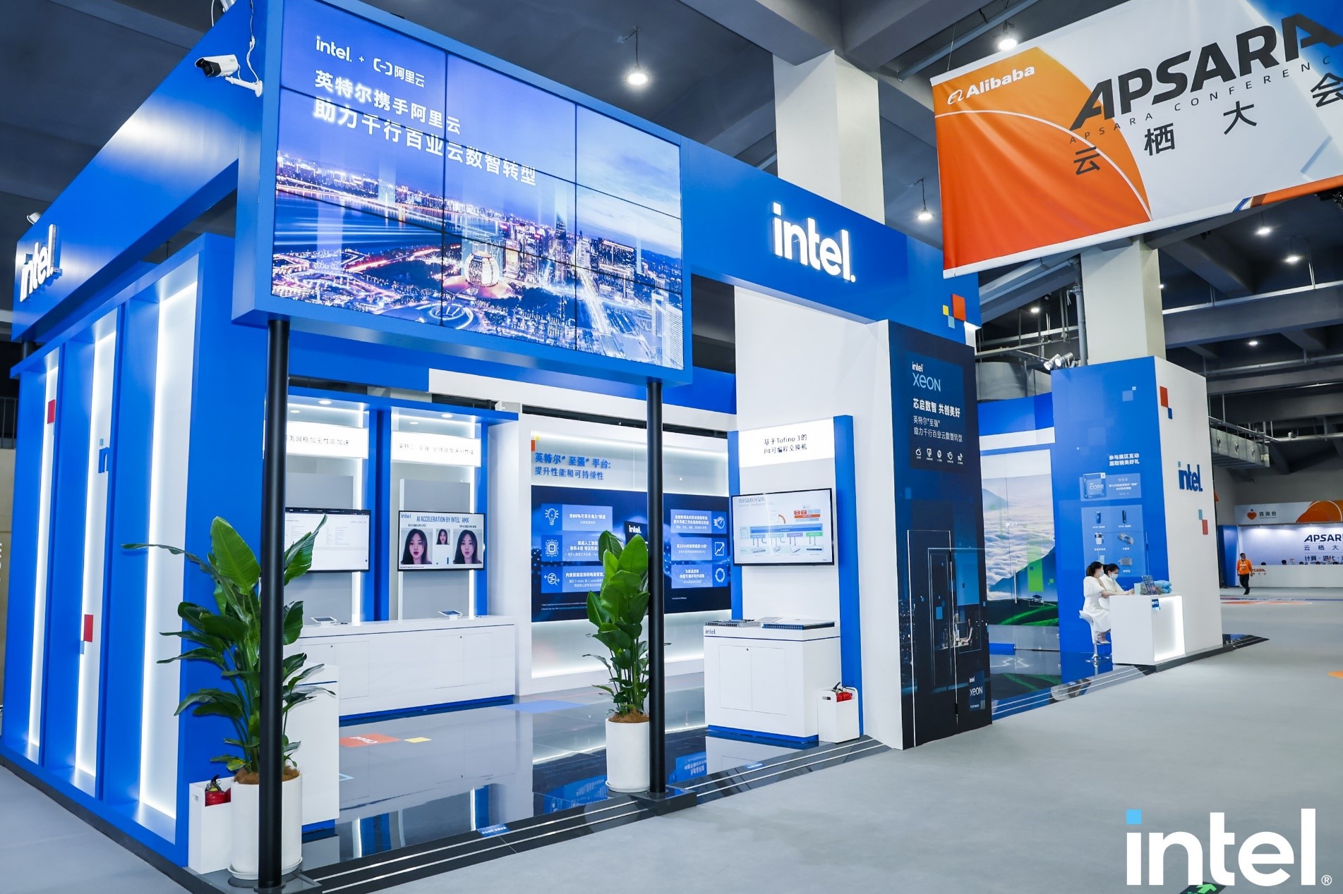 1667789264321312.jpg 1.jpg