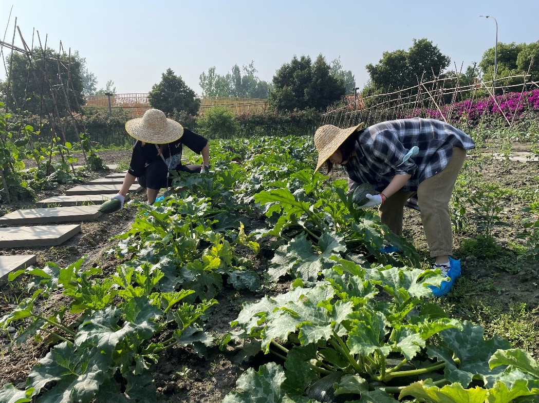 1670895061243799.jpg 6.jpg