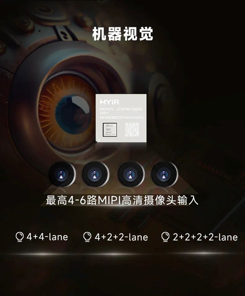 1704164499542692.jpg 10.jpg