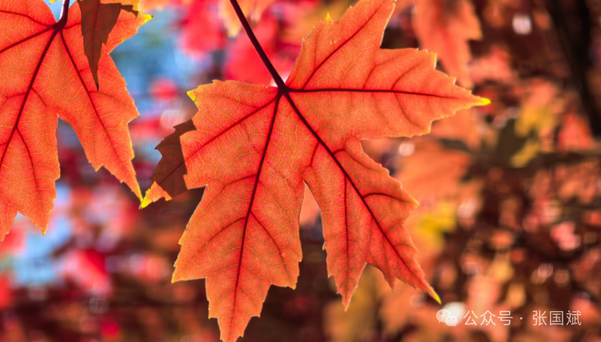 1733369669933580.png 9.png