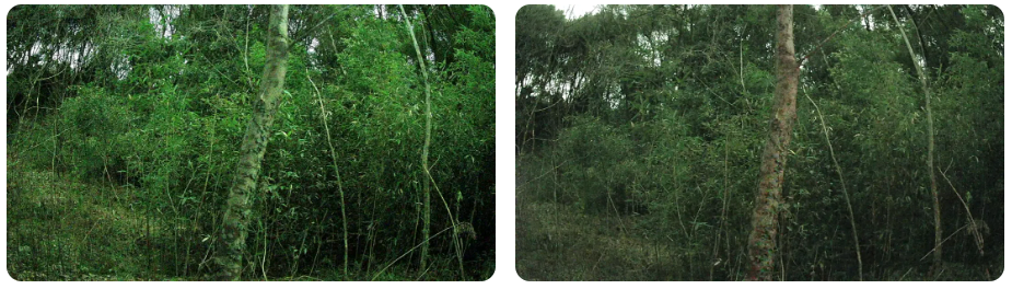 1741059146570236.jpg 1741058932353.jpg