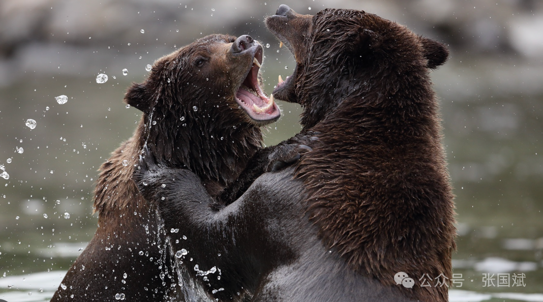 1746495065730585.png 1.png