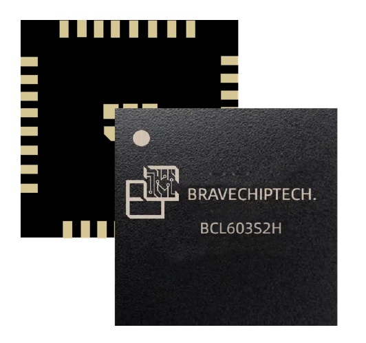 NOR349. Bravechip_BCL603S2H.jpg