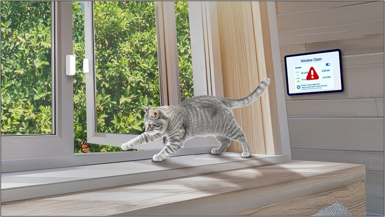 1757560705144466.jpg 1.jpg