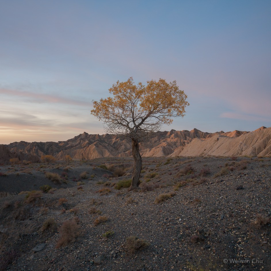 1765939079308986.jpg 2.jpg