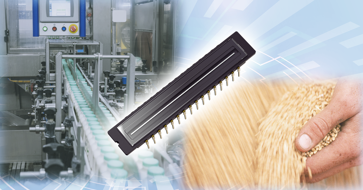 1766038701622749.png 1.png