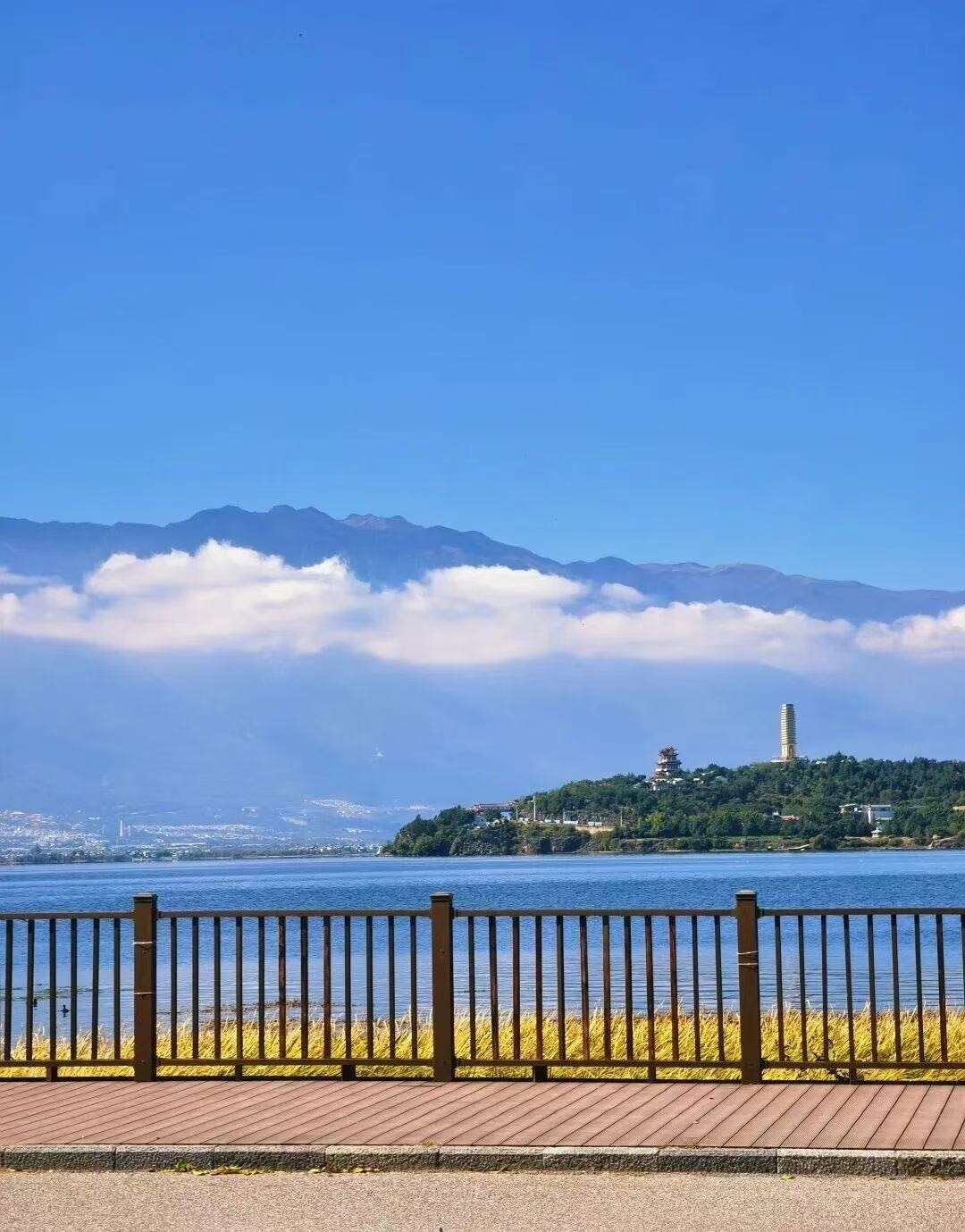 1766563504829188.jpg 5.jpg