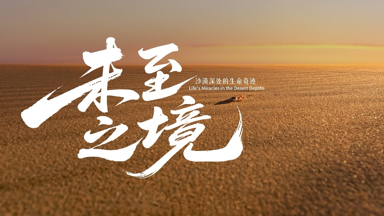 1768294498208474.jpg 5.jpg