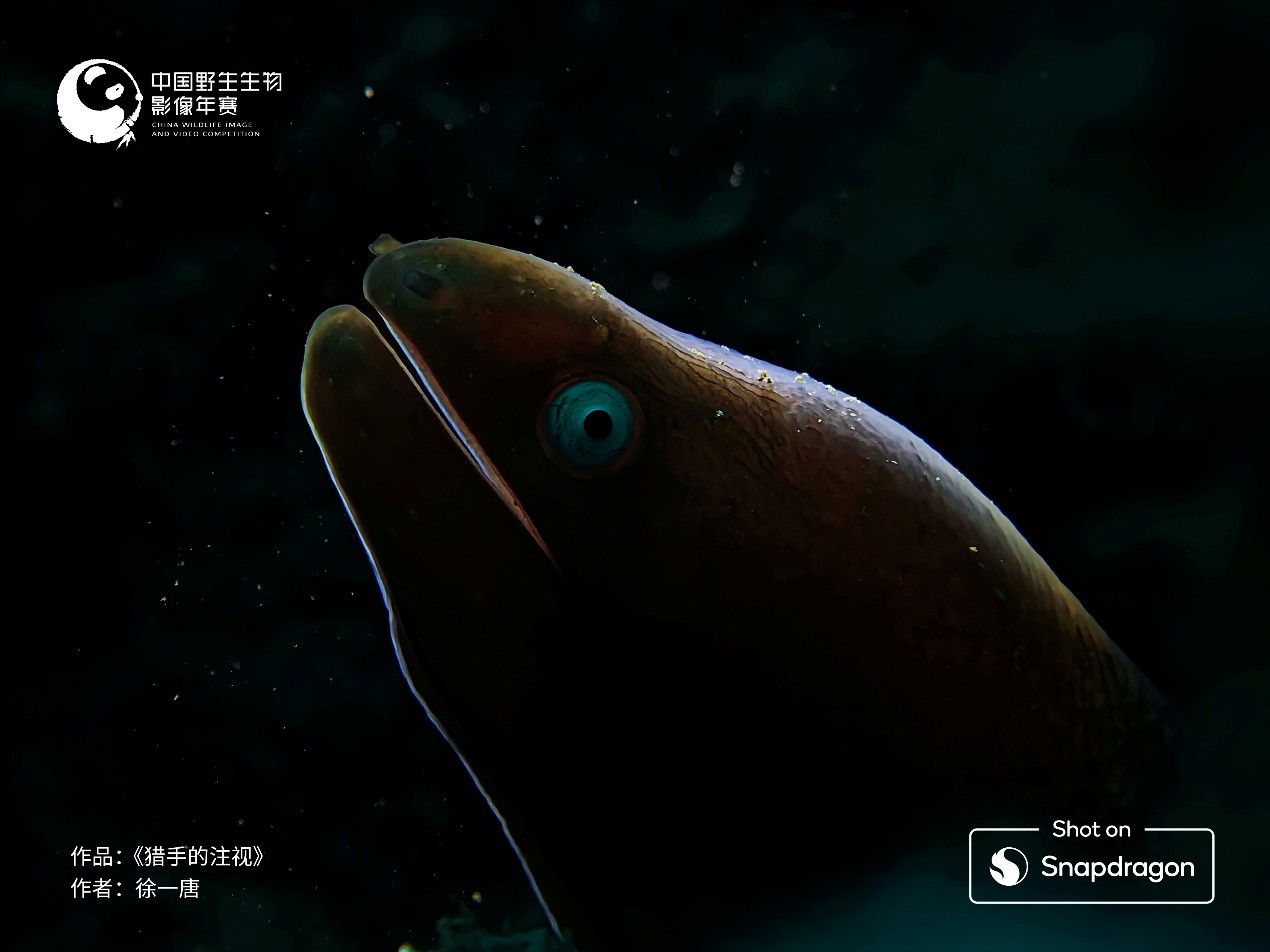 1768294505668177.jpg 4.jpg