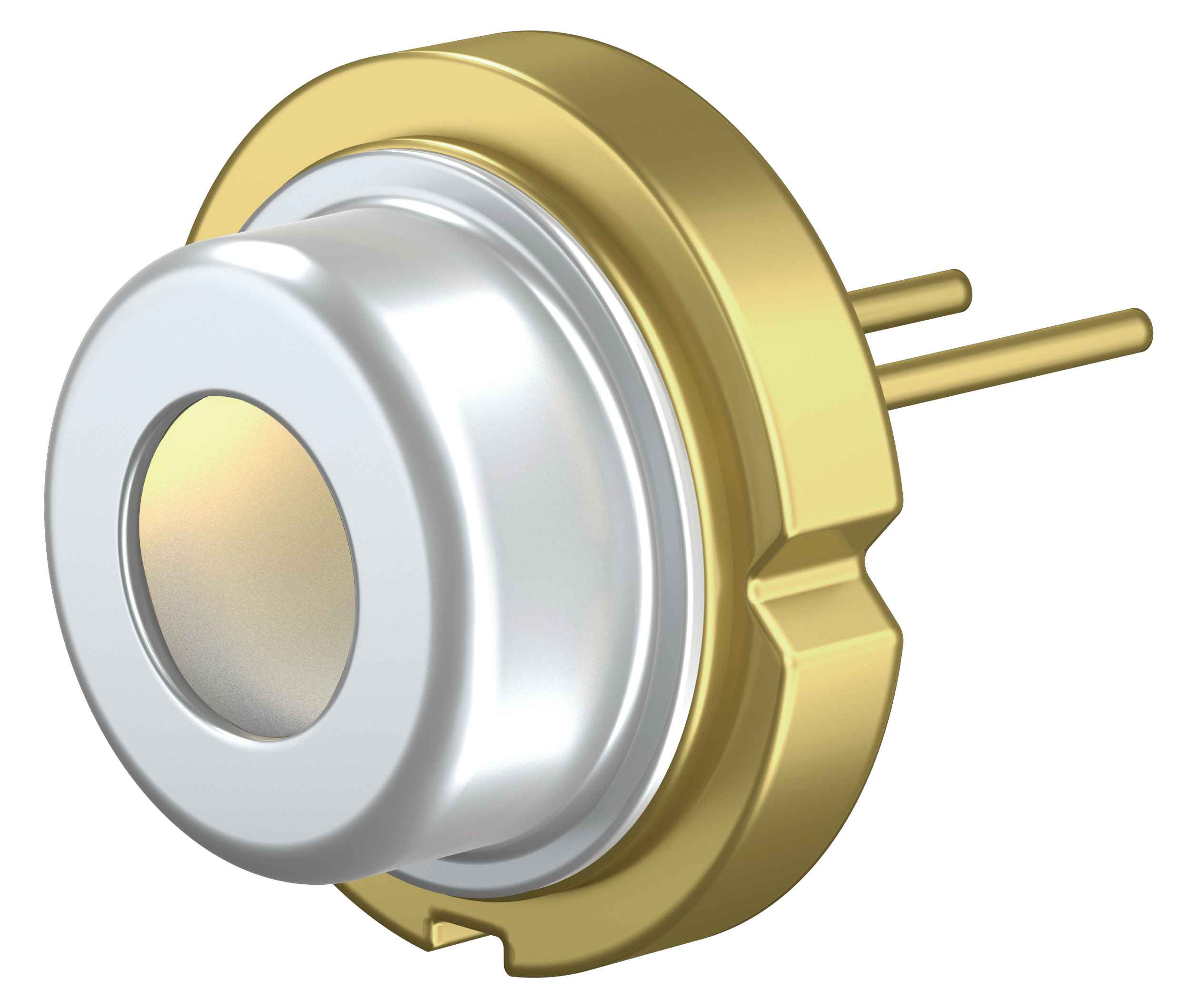 1769133283422333.jpg 2 (1).jpg