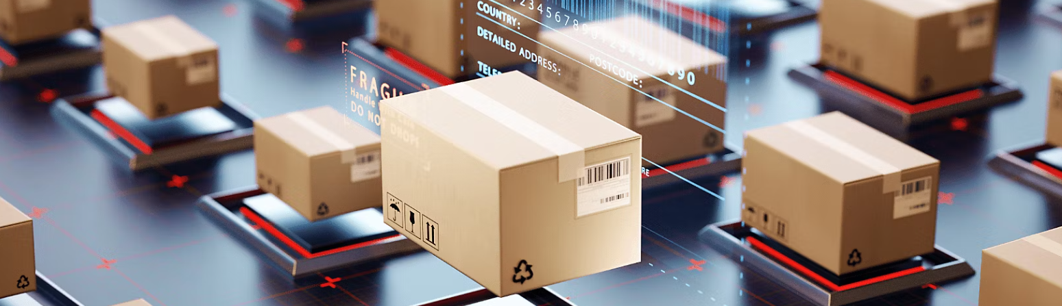 1770099058981711.png 1.png