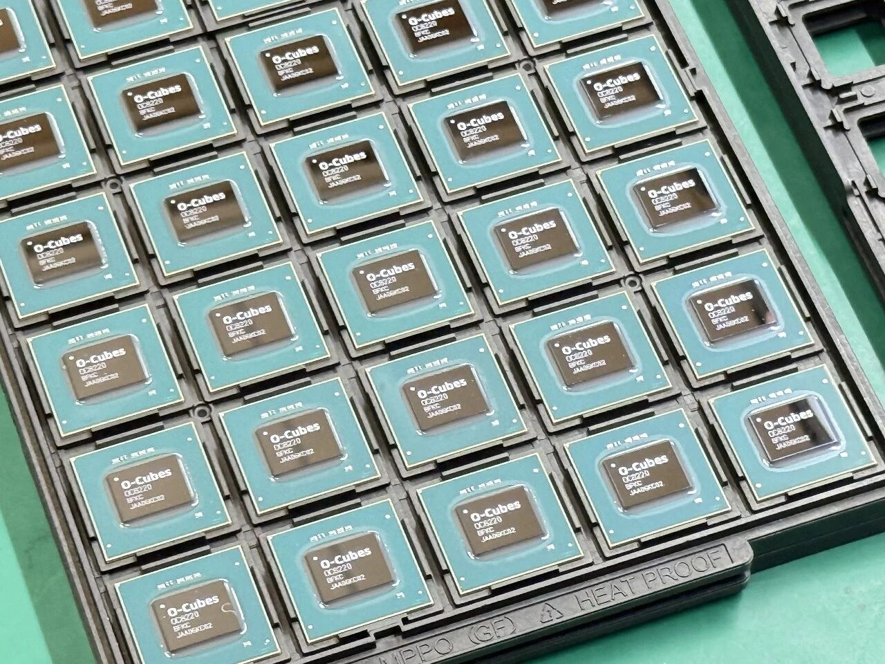 1770196239113536.jpg 1.jpg