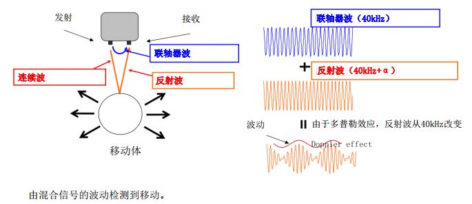动态机身检测