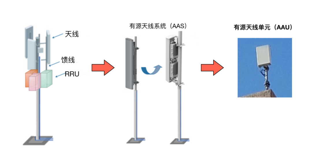 AAU